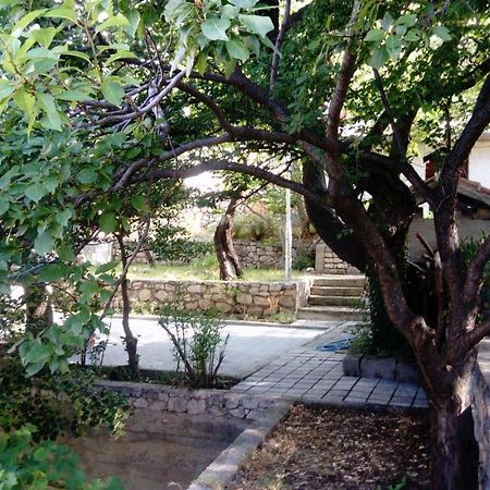 Apartman "Tartaruga" Lukovo Dış mekan fotoğraf